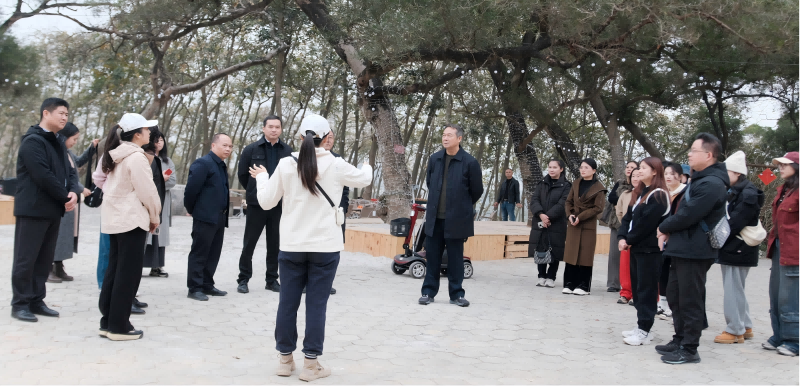 1762501829828.png 图片1(2).png